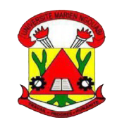 Docteur Ange Nsouadi