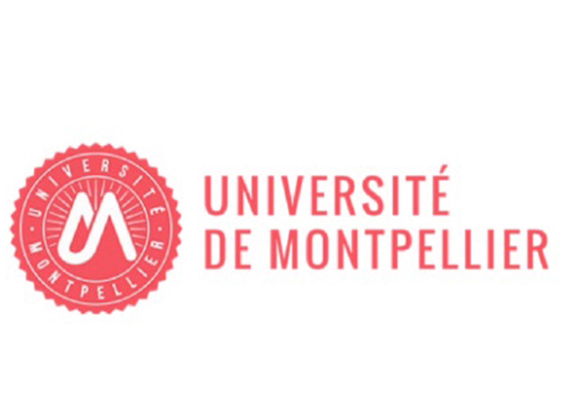 Docteur Ange Nsouadi